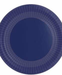 Dark Blue Paper Plates