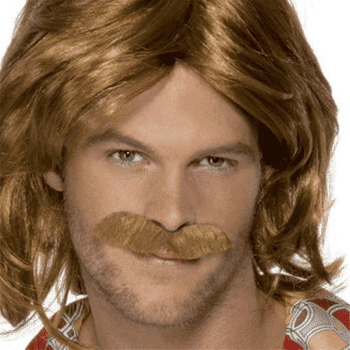 70's Super Trouper Adult Wig & Moustache Set