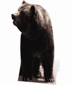 Grizzly Bear Cardboard Cutout