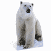 Polar Bear Cardboard Cutout - Animal Themed Carboard Cutouts