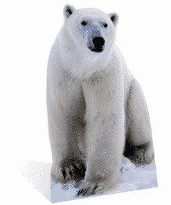 Polar Bear Cardboard Cutout