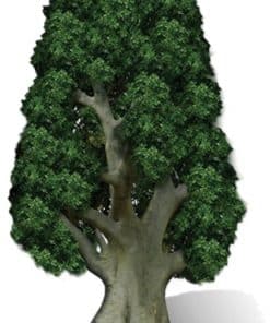 Tree Cardboard Cutout