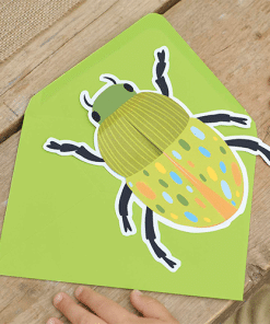 Bug & Insect Themed Party Invites
