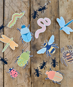 Bug & Insect Card Cutouts