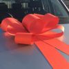 Red Bonnet Car Bow