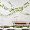 Wedding Beautiful Botanics Decorative Vines