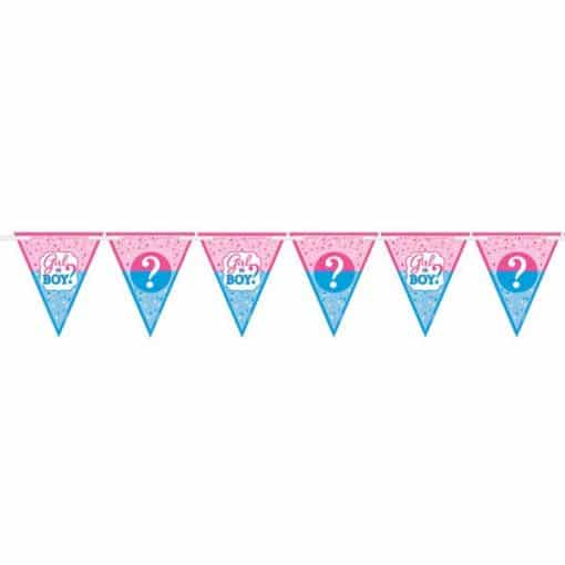 Gender Reveal Party Bunting