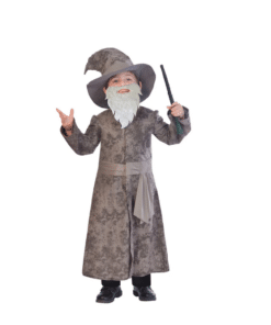 Wise Wizard Children's Costume