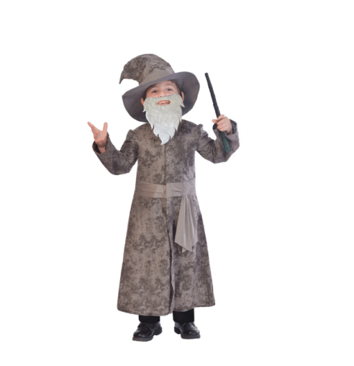 Wise Wizard Children's Costume