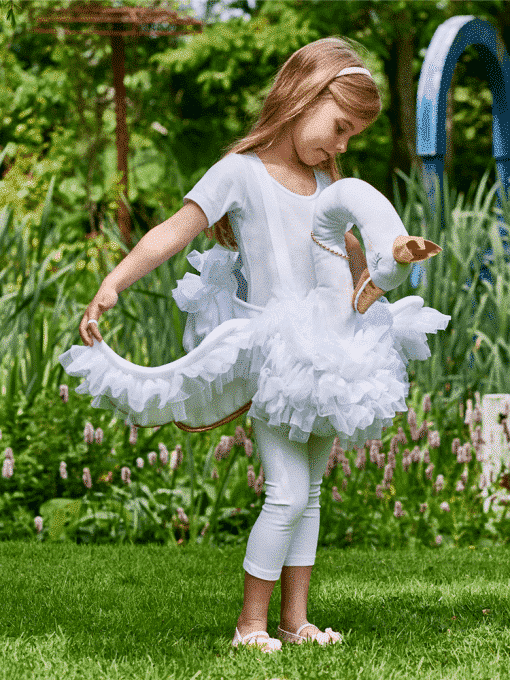 Glide on Swan Costume