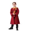 Harry Potter Quidditch Robe Costume