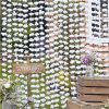 Rustic Country White Floral Backdrop