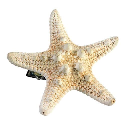 Mermaid Starfish Hairclip