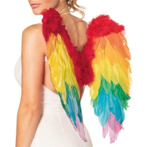 Rainbow Angel Wings