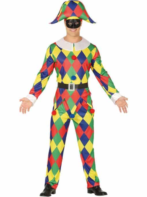 Harlequin Adult Costume