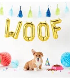 Gold Woof Foil Balloon Kit