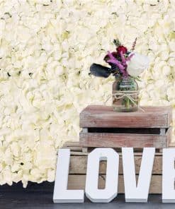 Cream Hydrangea Flower Wall