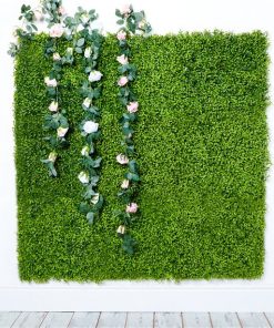 Green Plant Wall