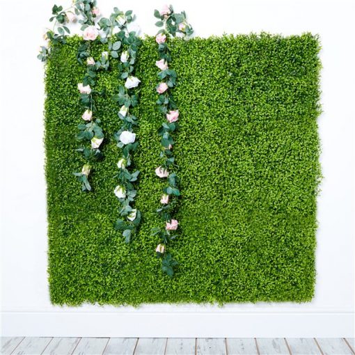 Green Plant Wall