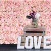 Pink Hydrangea Flower Wall