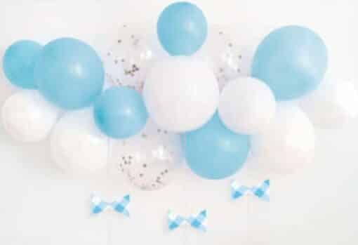 Blue Gingham 1st Birthday Balloon Arch Kit