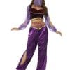 Arabian Princess Purple Adult Costume