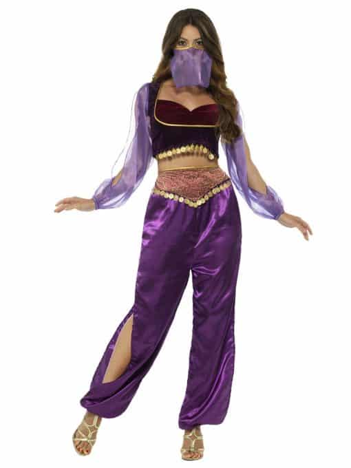 Arabian Princess Purple Adult Costume