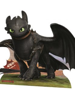 How To Train Your Dragon Toothless Cardboard Cutout