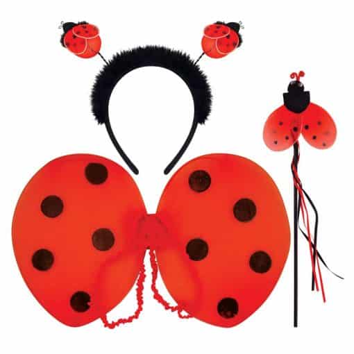 Child's Ladybird Dressing Up Accessories