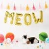 Gold Meow Foil Balloon Kit