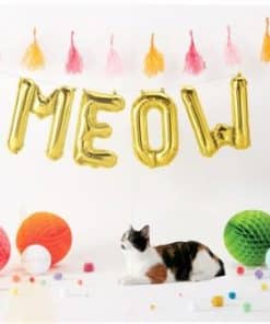 Gold Meow Foil Balloon Kit