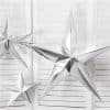 Silver Paper Star Decoration