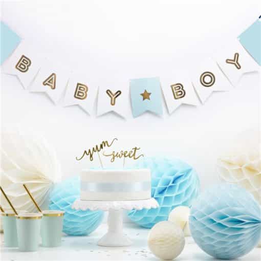 Blue Baby Boy Banner