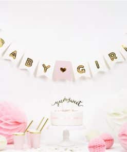 Pink Baby Girl Banner