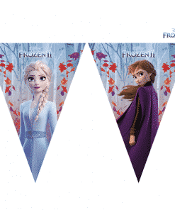 Disney Frozen 2 Party Plastic Bunting