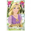 Princess Mini Notebook