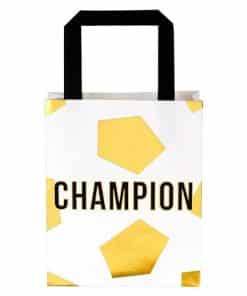 Party Champions Football Paper Party Gift Bags