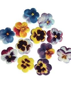 Edible Pansy Flowers Sugar Cake Decorations