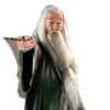 Harry Potter Dumbledore Lifesize Cardboard Cutout