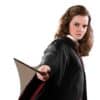 Harry Potter Hermione Lifesize Cardboard Cutout