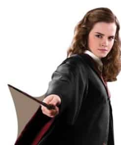 Harry Potter Hermione Lifesize Cardboard Cutout