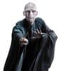 Harry Potter Lord Voldemort Lifesize Cardboard Cutout