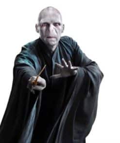 Harry Potter Lord Voldemort Lifesize Cardboard Cutout