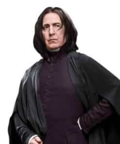 Harry Potter Professor Snape Lifesize Cardboard Cutout