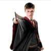 Harry Potter Quidditch Captain Lifesize Cardboard Cutout