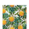 Tropical Fiesta Orange Napkins