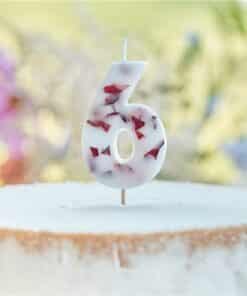 Pressed Petal Birthday Cake Candle - Number 6