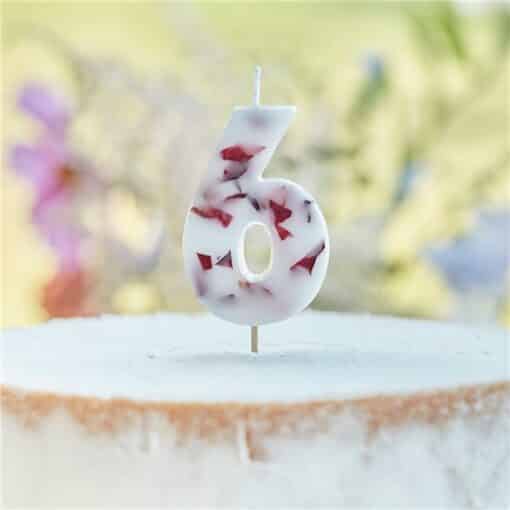 Pressed Petal Birthday Cake Candle - Number 6