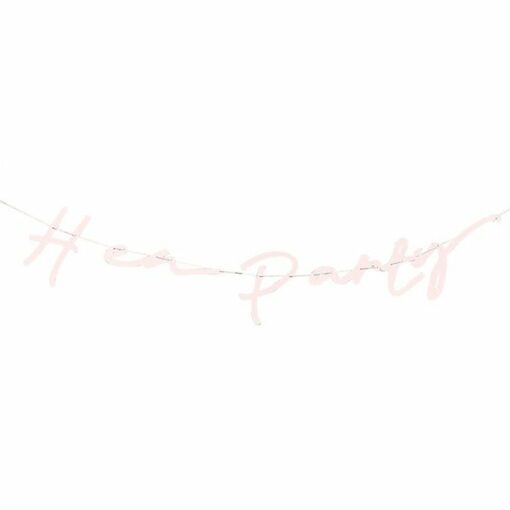 Pink Hen Party Banner