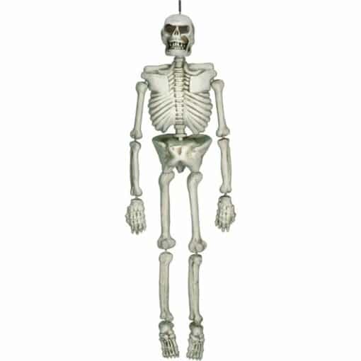 Life-Size Skeleton Prop